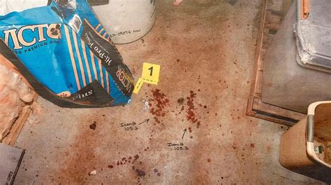 autopsy photos of maggie and paul|Murdaugh Murders: Crime Scene Photos Shown in Court